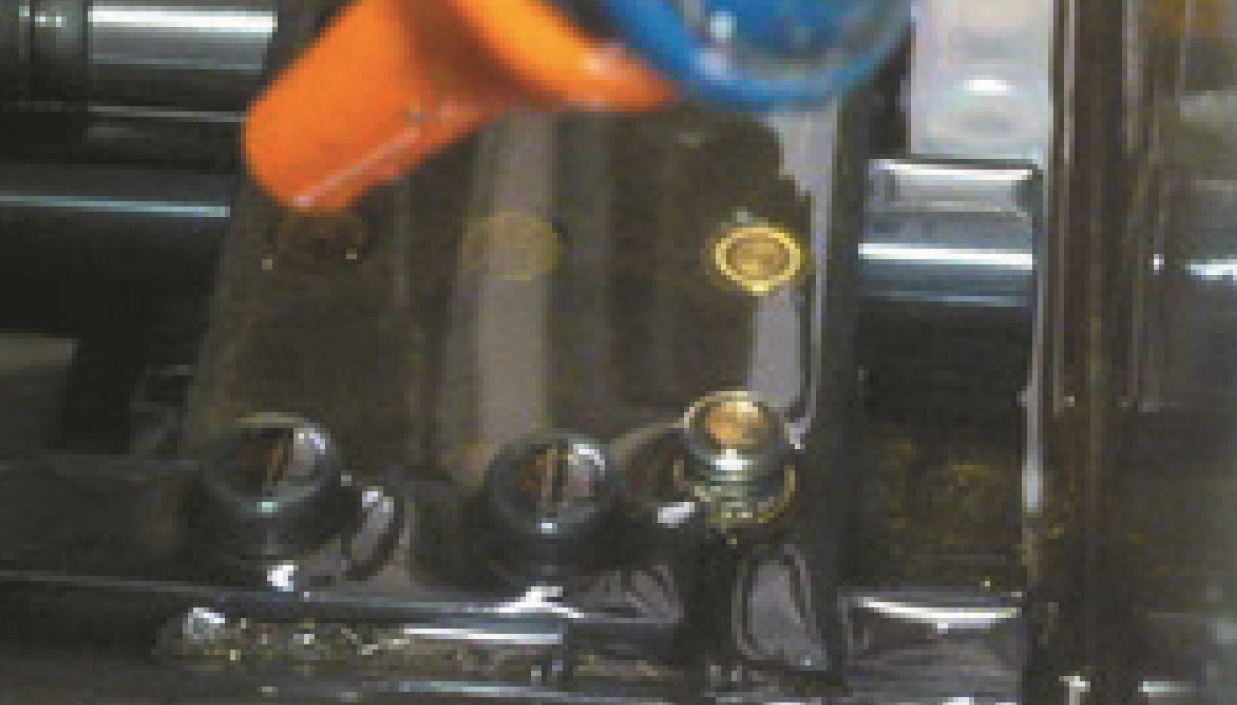 セルスクリューの結果